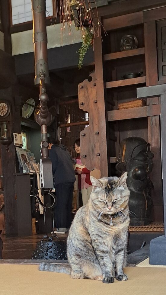 Le chat de la maison du potier Kawai Kanjiro