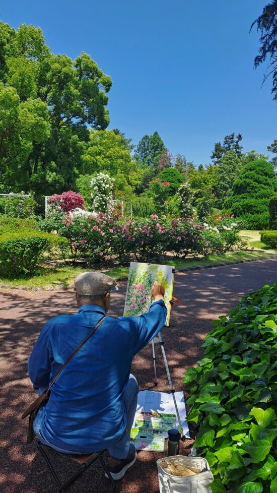 Les roses du jardin botanique