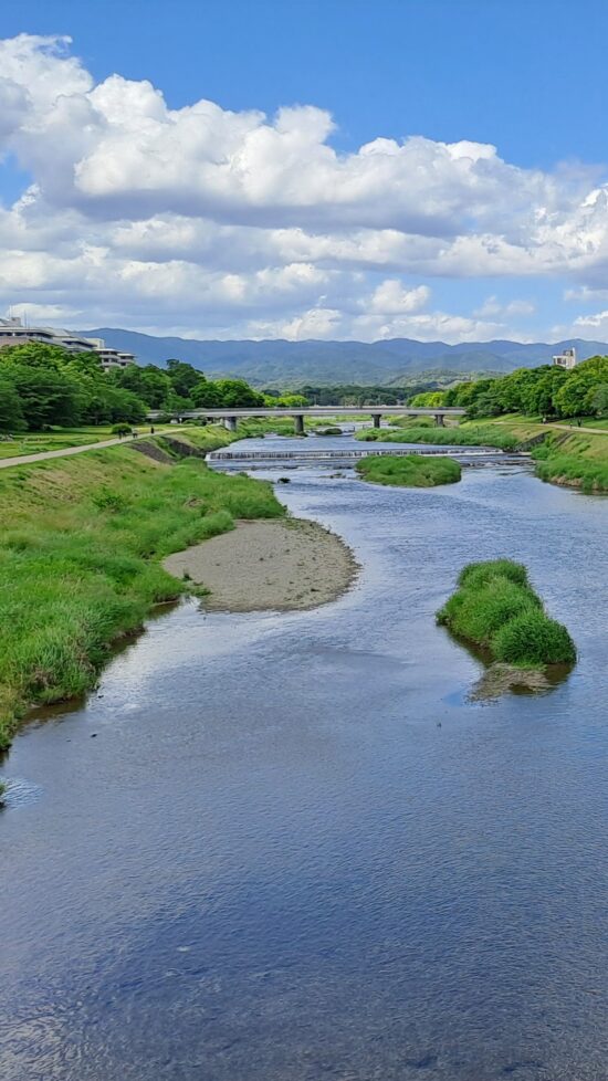 Kamogawa, la « rivière aux canards »